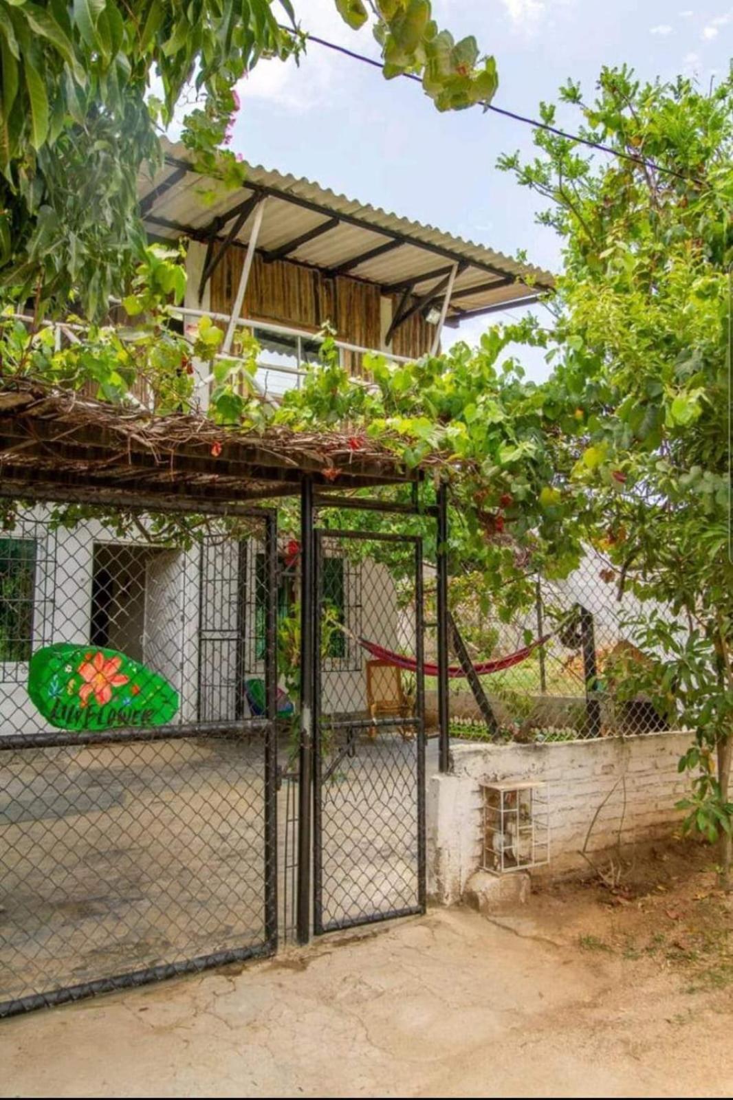Casa Lily Flower Playa Dormida エクステリア 写真